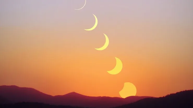 ¿Lo notaste? Esto fue lo que pasó con la temperatura y los animales durante el Eclipse Solar 2024