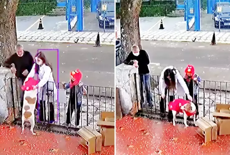 sueter_perrito_delincuencia