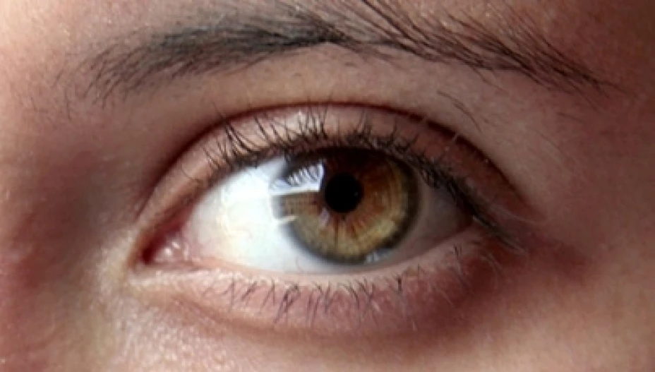 Retinopatías