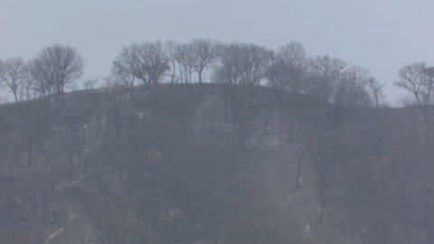 Incendio en Bosque de la Primavera.png
