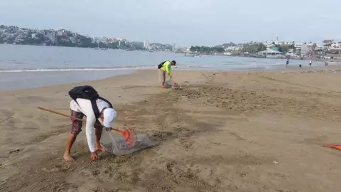 Jornada de limpieza en playas de Acapulco