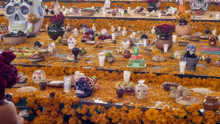 megaofrenda_unam_2024.jpg