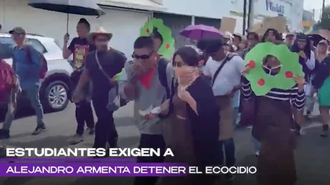 manifestación tala árboles