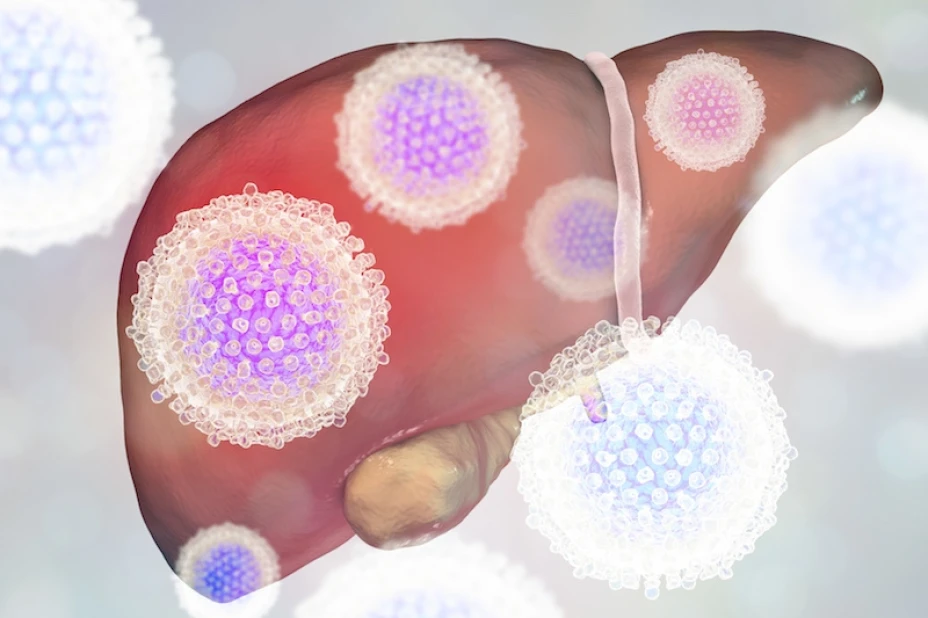 Virus hepatitis C