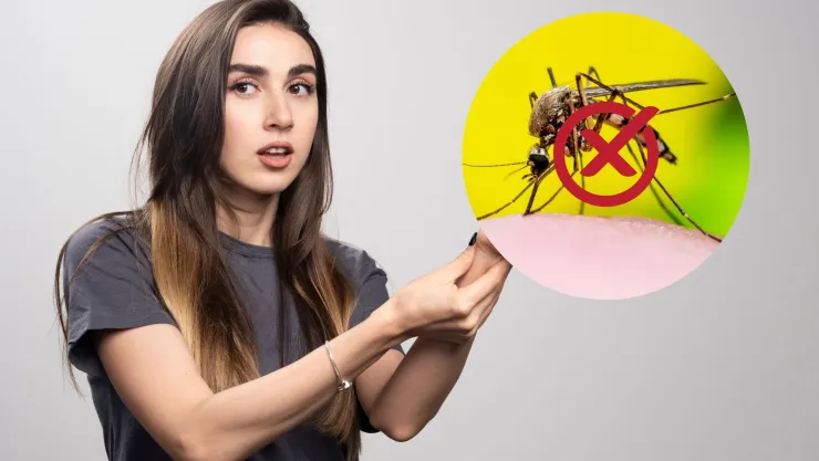 mosquitos