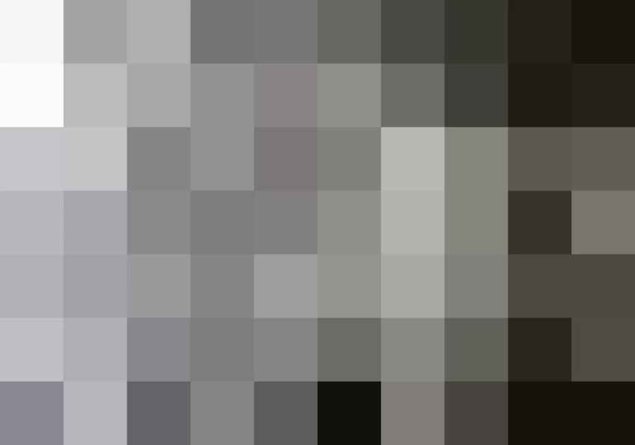 Google reveló los temas más buscados del año