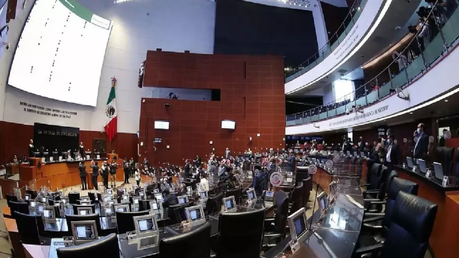 propaganda gubernamental Senado decreto
