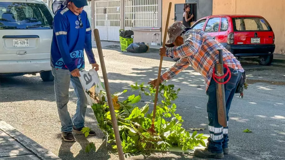 ¡A limpiar! Barrido de Colonias en Solidaridad