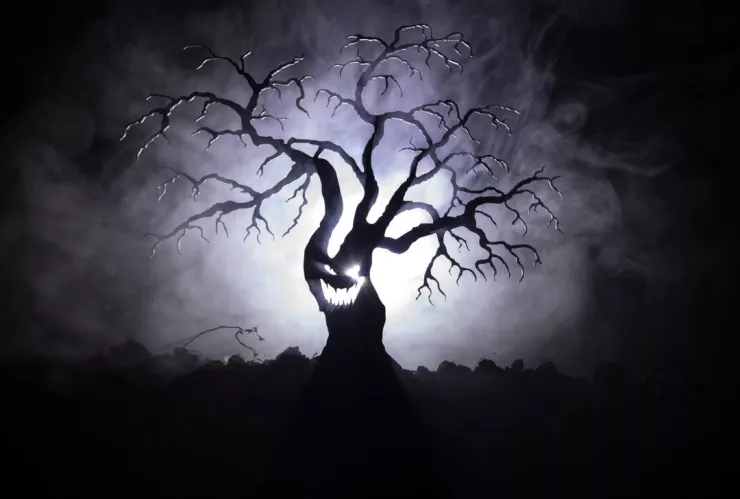 árbol asesino gigante.jpg