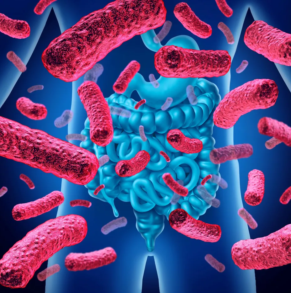 Microbiota l--lightwise.jpg