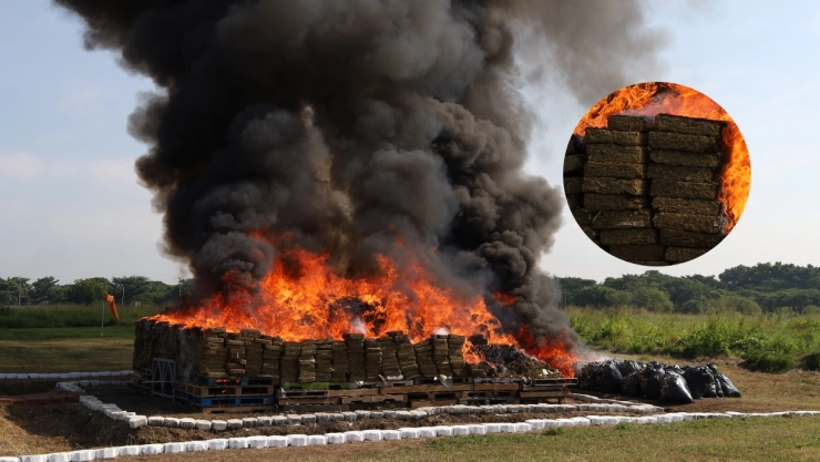 Acción exitosa en Veracruz: Destruyen 7 toneladas de drogas