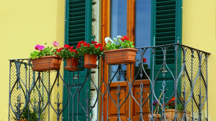 /estilo-de-vida/planta-crecer-ambientes-pequenos-flores-balcon