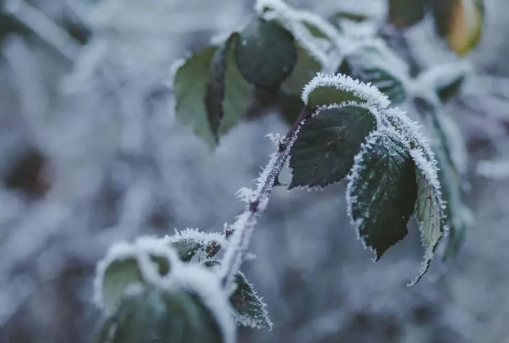 Clima en Aguascalientes ¿Cómo afectará la Onda Tropical 26 y el Frente Frío 6