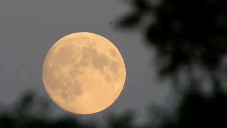 En este tipo de evento, la Tierra se interpone entre la Luna que debe estar en su fase “llena y el Sol.