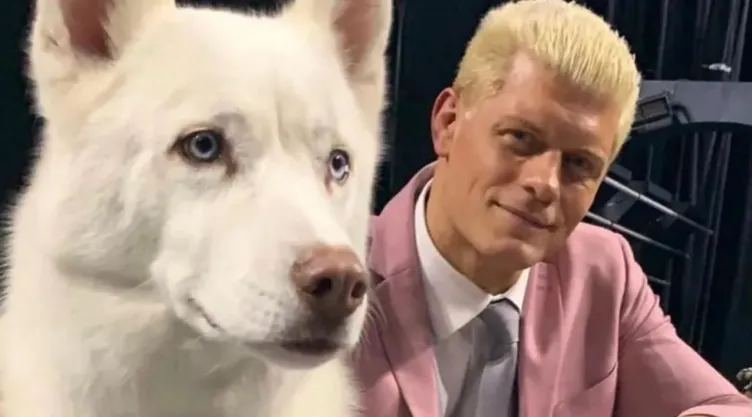 Cody Rhodes se despide de su perro Pharaoh