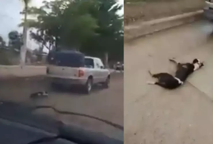 Hombre arrastra a un perro con su camioneta.jpg