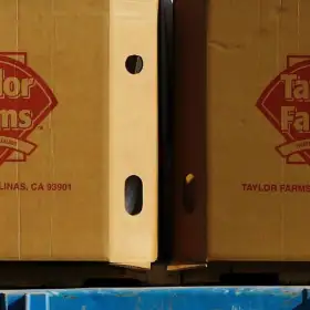 Cajas de Taylor Farms en el estado de Guanajuato, México.