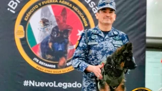 FOTOS: Perrito donado por Turquía llega a México