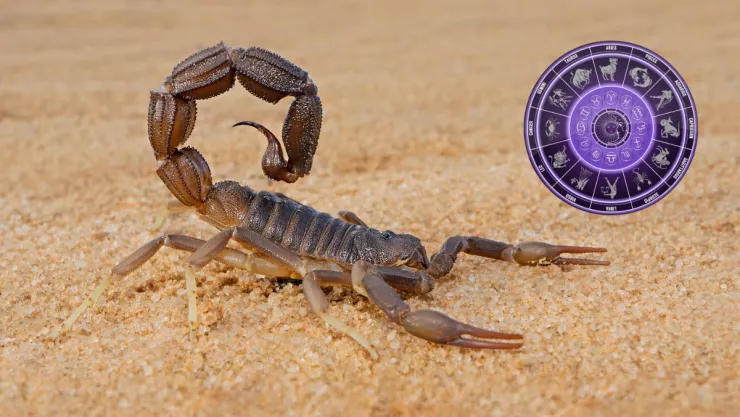 Horóscopo mensual Escorpio ¿Qué le depara a tu signo en septiembre 2024?