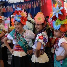 CMB_1805 Florecitas de Xochimilco.jpg