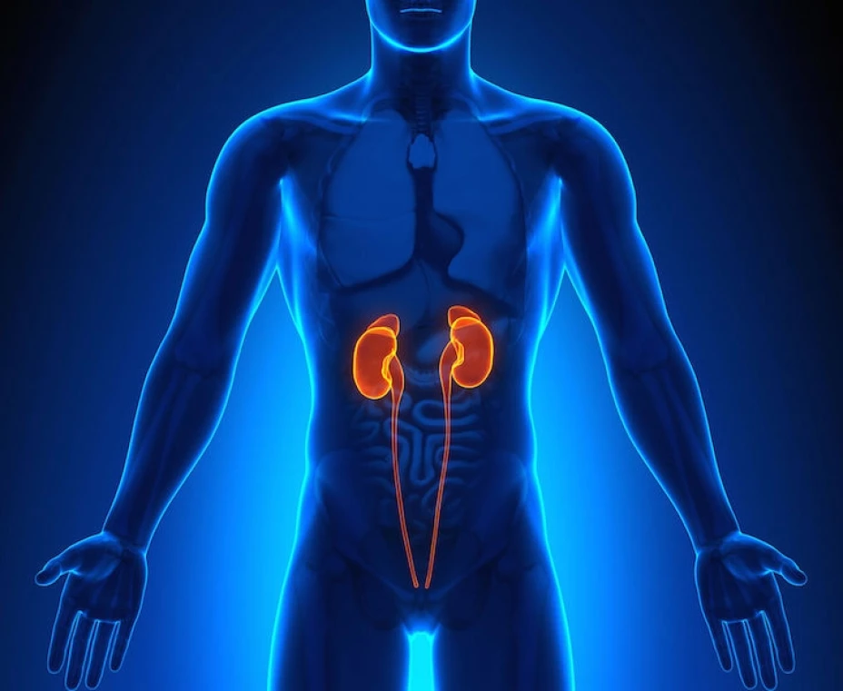 Donación de órganos