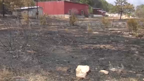 Falta reforestación tras incendio en Sierra de Santiago.png