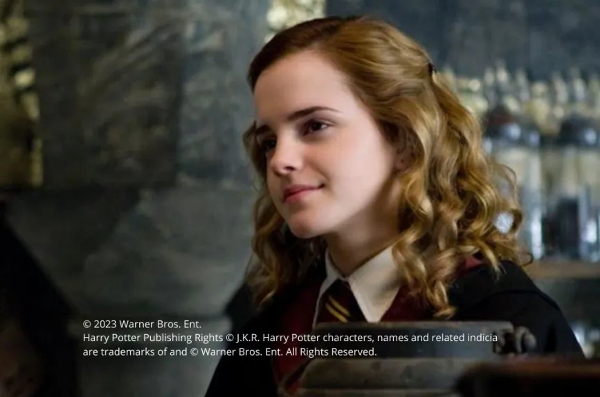 Hermione Harry Potter