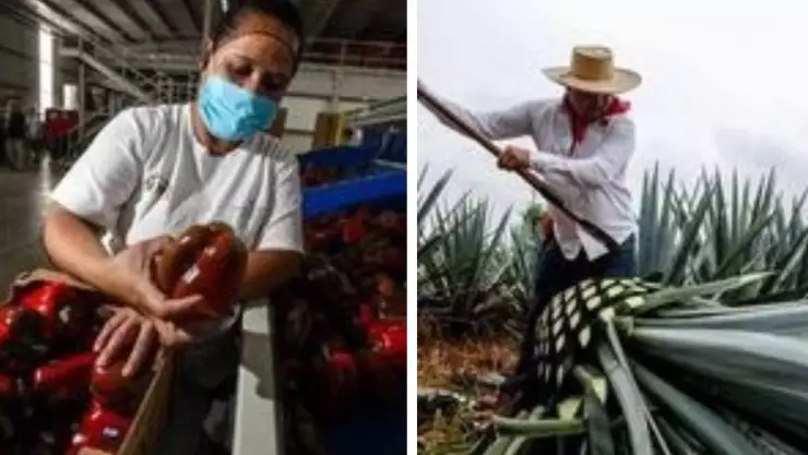 supeavit-balanza-finanzas-alimentaria (1).jpg