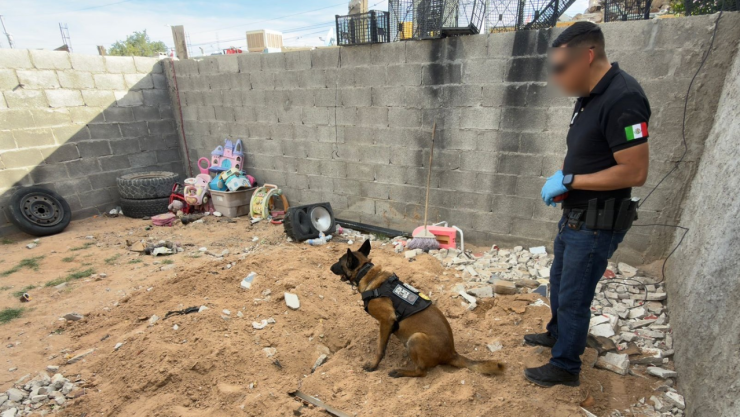 Localizan dos cuerpos en una fosa en Ciudad Juárez