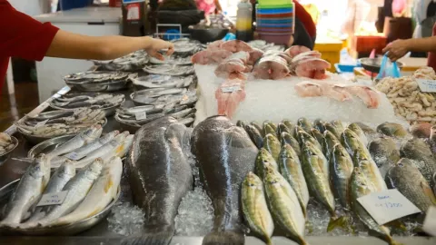 ¿A cuánto el kilo de pescado y mariscos en México?: Costos para temporada de Cuaresma 2026