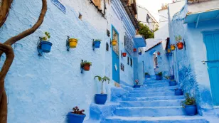  Calles famosas que debes visitar  