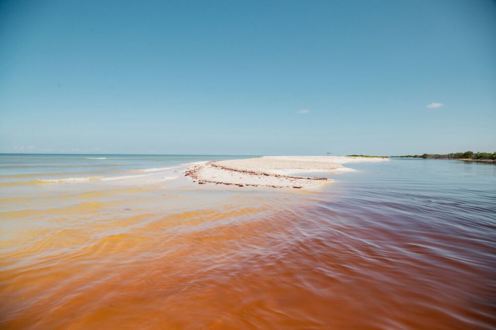 Playa Sisal, Yucatán