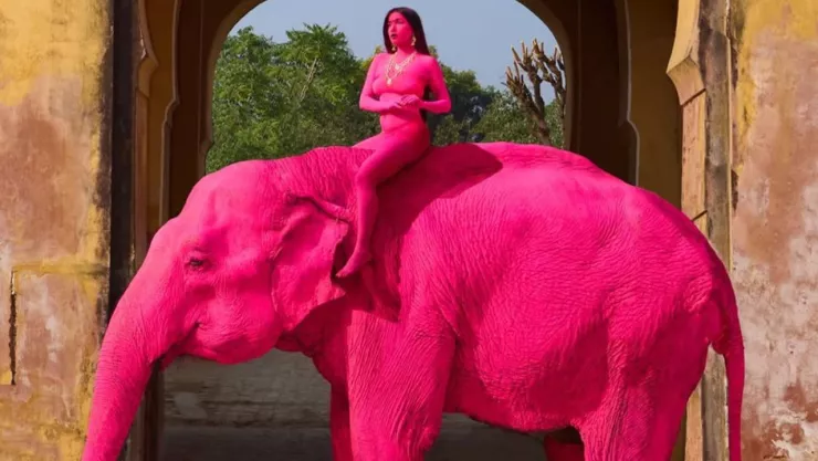 Caso del elefante rosa en India genera dudas: fallece tras sesión y abren investigación