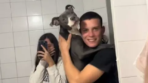 VIDEO_ Perro se ve por primera vez en el espejo y se quiere pelar con él mismo