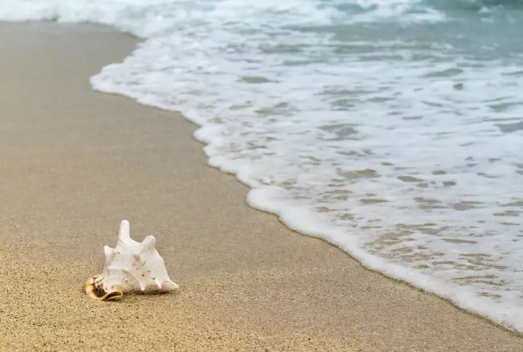 El día más frío del año para Puerto Vallarta, Jalisco