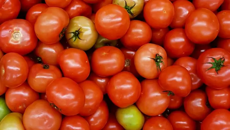 Profeco emite alerta por el precio del jitomate ¡Está por los cielos!