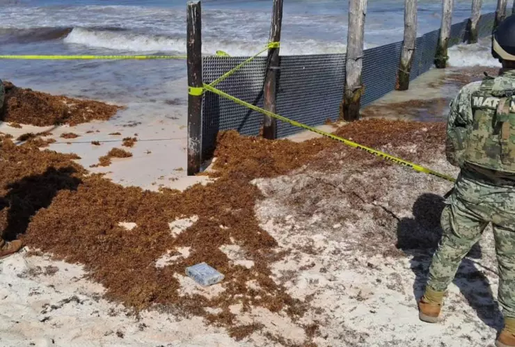 Marina asegura paquete con probable contenido ilícito en su interior en Solidaridad