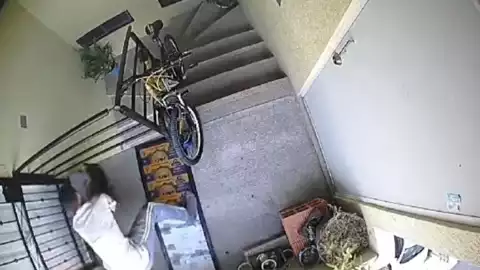 Maltrato animal huejotzingo