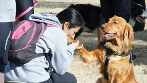 COMO REGISTRO A MI MASCOTA EN EL RUAC