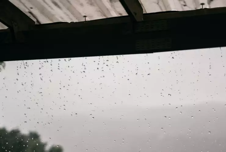 Lluvias en Jalisco lunes 5 enero 2025.jpg