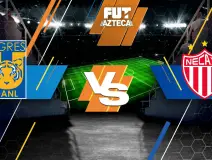 Tigres vs Necaxa poster.jpg