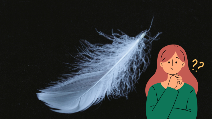 plumas blancas.png