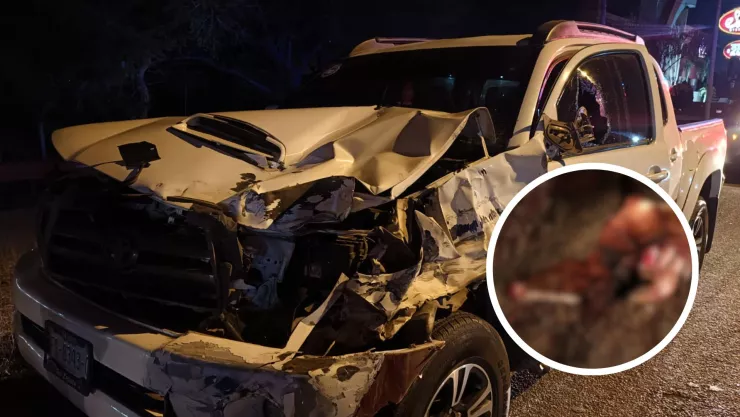 Arrollan a un caballo en carretera de Mazatlán; accidente deja un lesionado