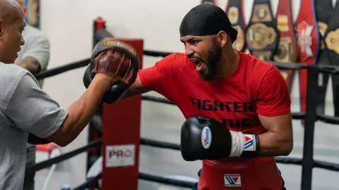Gervonta Davis vs Héctor Luis García