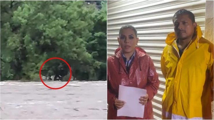 video-familia-atrapada-arbol-Tecpan-Galeana-lluvias-max-Guerrero