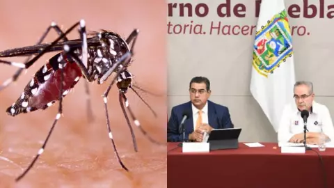 Puebla dengue primera muerte casos