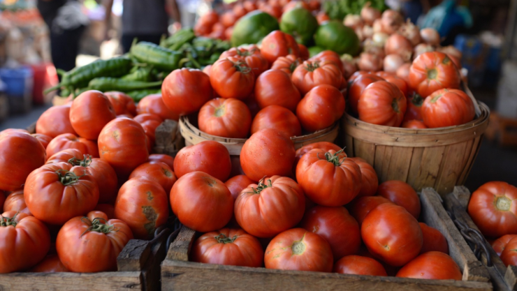 Tomate precio kilo hoy