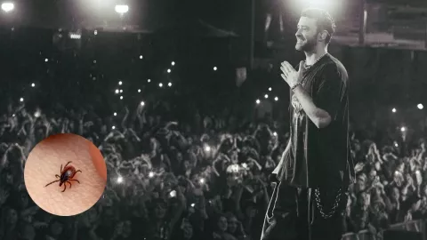 Qué es la enfermedad de Lyme, el padecimiento que afecta a Justin Timberlak