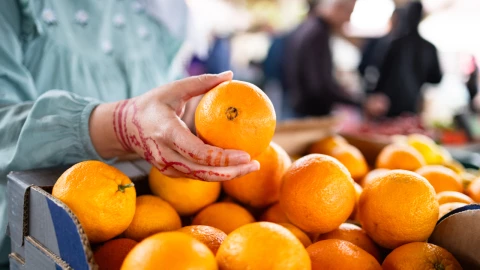 Feria de la naranja en Oxkutzcab, Yucatán, 2024
