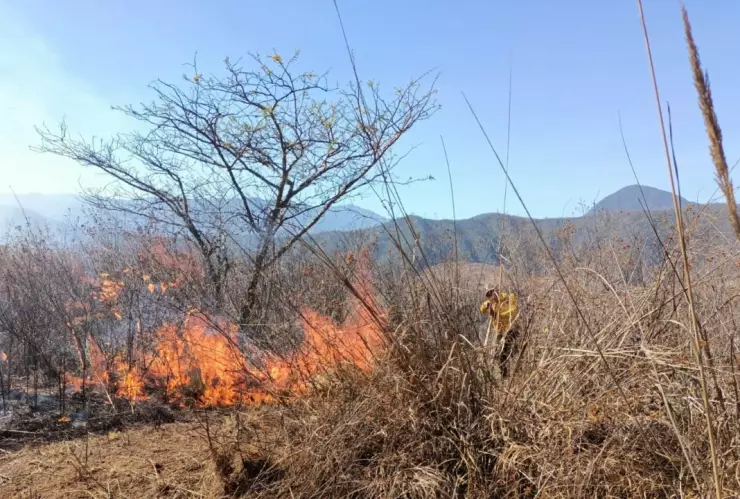 Las condiciones meteorológicas no han permitido que combatan el incendio por aire.